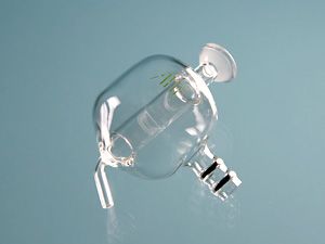 Cyclonic spray chamber,modified lichte (Spectro)