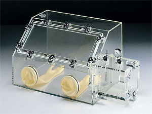 Gas replaceable glove box Model DX-II
