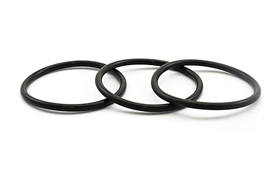 O-Ring für Elegra und Capricorn